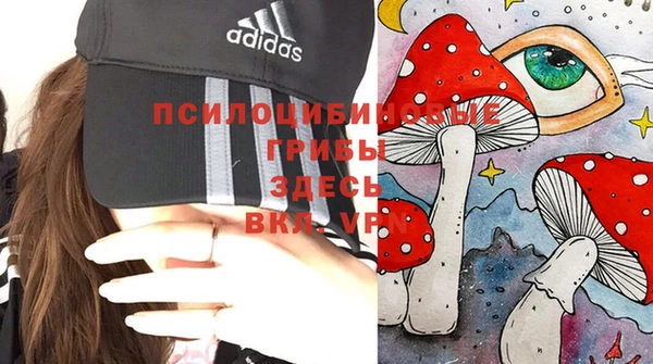 прущая мука Гусиноозёрск