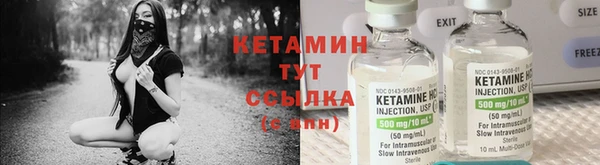 крисы Гусев