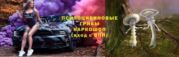 прущая мука Гусиноозёрск