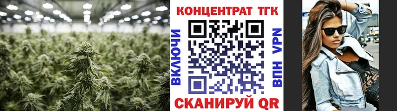 Купить закладки  Карачаевск  Дистиллят ТГК концентрат 