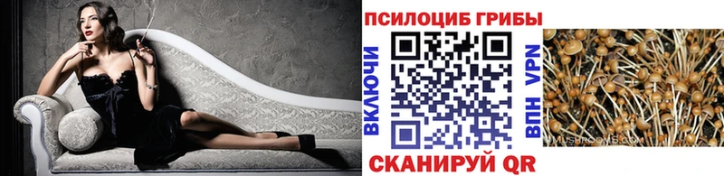 Купить где  Карачаевск  Псилоцибиновые грибы MAGIC MUSHROOMS 