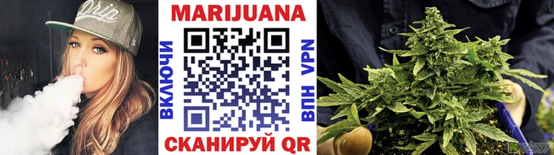 Конопля SATIVA & INDICA  Купить закладки  Карачаевск 